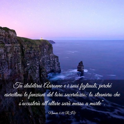 Picture 03 - Numeri 3:10 RIV - Tu stabilirai Aaronne e i suoi figliuoli, perché - Bible Verse Picture