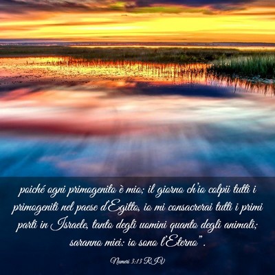 Picture 03 - Numeri 3:13 RIV - poiché ogni primogenito è mio; il giorno - Bible Verse Picture