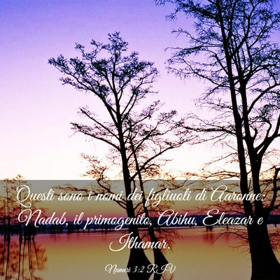 Picture 03 - Numeri 3:2 RIV - Questi sono i nomi dei figliuoli di Aaronne: - Bible Verse Picture