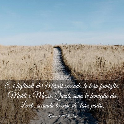 Picture 03 - Numeri 3:20 RIV - E i figliuoli di Merari secondo le loro famiglie: - Bible Verse Picture