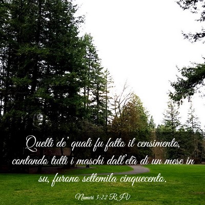 Picture 03 - Numeri 3:22 RIV - Quelli de’ quali fu fatto il censimento, - Bible Verse Picture