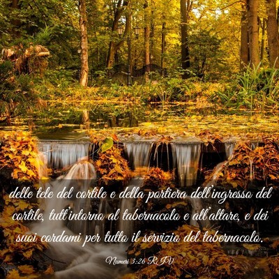 Picture 03 - Numeri 3:26 RIV - delle tele del cortile e della portiera - Bible Verse Picture
