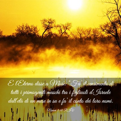 Picture 03 - Numeri 3:40 RIV - E l’Eterno disse a Mosè: “Fa’ il - Bible Verse Picture