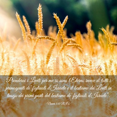 Picture 03 - Numeri 3:41 RIV - Prenderai i Leviti per me io sono l’Eterno - Bible Verse Picture