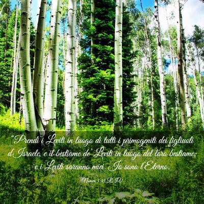 Picture 03 - Numeri 3:45 RIV - “Prendi i Leviti in luogo di tutti i - Bible Verse Picture