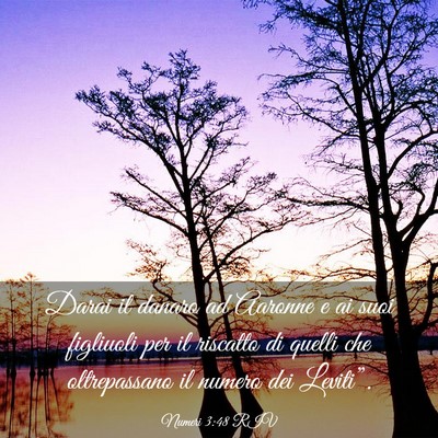 Picture 03 - Numeri 3:48 RIV - Darai il danaro ad Aaronne e ai suoi figliuoli - Bible Verse Picture