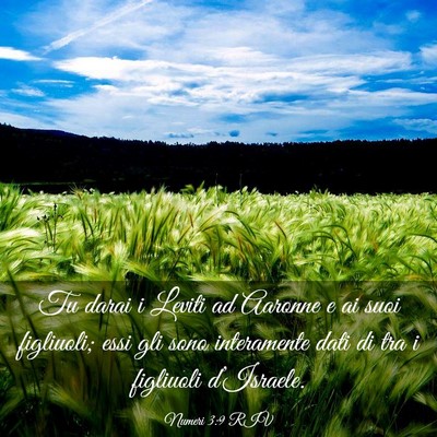 Picture 03 - Numeri 3:9 RIV - Tu darai i Leviti ad Aaronne e ai suoi figliuoli; - Bible Verse Picture