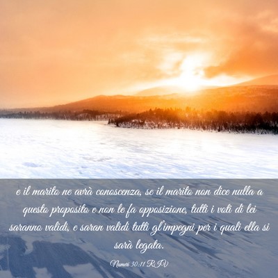 Picture 03 - Numeri 30:11 RIV - e il marito ne avrà conoscenza, se il marito non - Bible Verse Picture