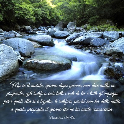 Picture 03 - Numeri 30:14 RIV - Ma se il marito, giorno dopo giorno, non dice - Bible Verse Picture