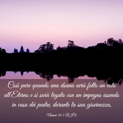 Picture 03 - Numeri 30:3 RIV - Così pure quando una donna avrà fatto un voto - Bible Verse Picture