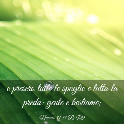 Picture 03 - Numeri 31:11 RIV - e presero tutte le spoglie e tutta la preda: - Bible Verse Picture