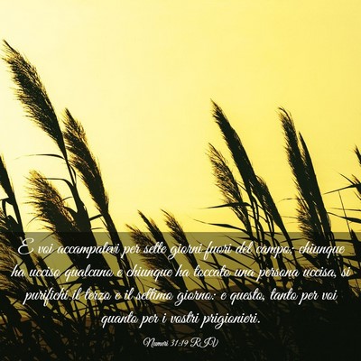 Picture 03 - Numeri 31:19 RIV - E voi accampatevi per sette giorni fuori del - Bible Verse Picture