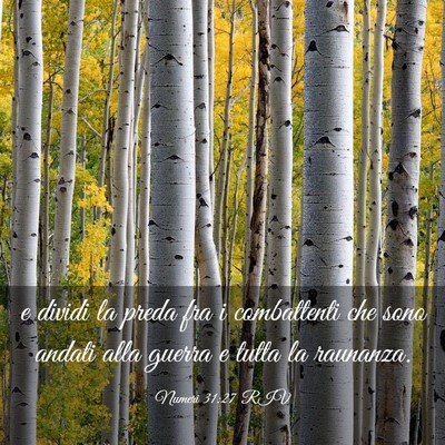 Picture 03 - Numeri 31:27 RIV - e dividi la preda fra i combattenti che sono - Bible Verse Picture