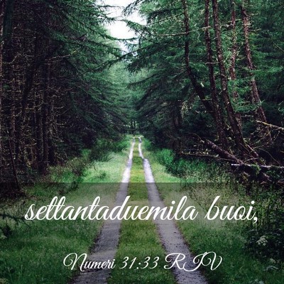 Picture 03 - Numeri 31:33 RIV - settantaduemila - Bible Verse Picture