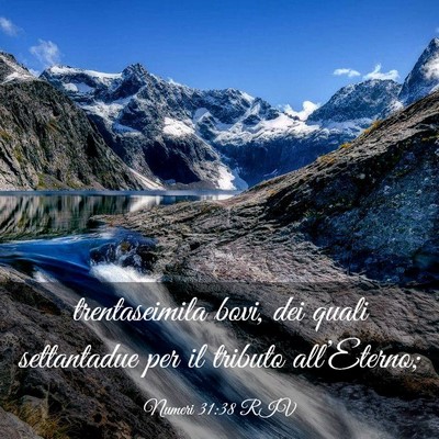 Picture 03 - Numeri 31:38 RIV - trentaseimila bovi, dei quali settantadue per il - Bible Verse Picture