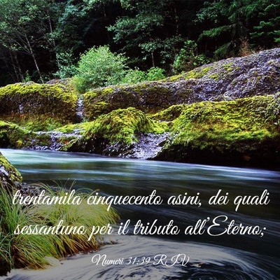 Picture 03 - Numeri 31:39 RIV - trentamila cinquecento asini, dei quali - Bible Verse Picture
