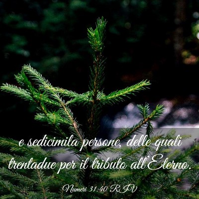 Picture 03 - Numeri 31:40 RIV - e sedicimila persone, delle quali trentadue per - Bible Verse Picture