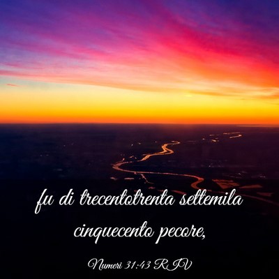 Picture 03 - Numeri 31:43 RIV - fu di trecentotrenta settemila cinquecento - Bible Verse Picture