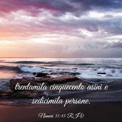 Picture 03 - Numeri 31:45 RIV - trentamila cinquecento asini e sedicimila - Bible Verse Picture