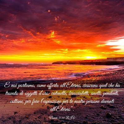 Picture 03 - Numeri 31:50 RIV - E noi portiamo, come offerta all’Eterno, - Bible Verse Picture
