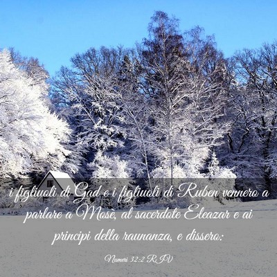 Picture 03 - Numeri 32:2 RIV - i figliuoli di Gad e i figliuoli di Ruben vennero - Bible Verse Picture