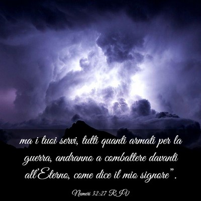 Picture 03 - Numeri 32:27 RIV - ma i tuoi servi, tutti quanti armati per la - Bible Verse Picture