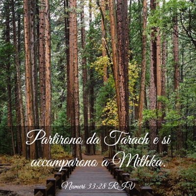 Picture 03 - Numeri 33:28 RIV - Partirono da Tarach e si accamparono a - Bible Verse Picture