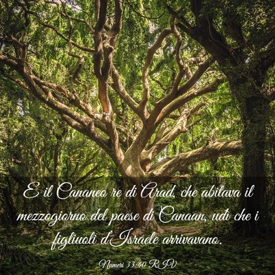 Picture 03 - Numeri 33:40 RIV - E il Cananeo re di Arad, che abitava il - Bible Verse Picture