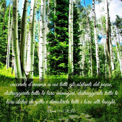 Picture 03 - Numeri 33:52 RIV - caccerete d’innanzi a voi tutti gli abitanti - Bible Verse Picture