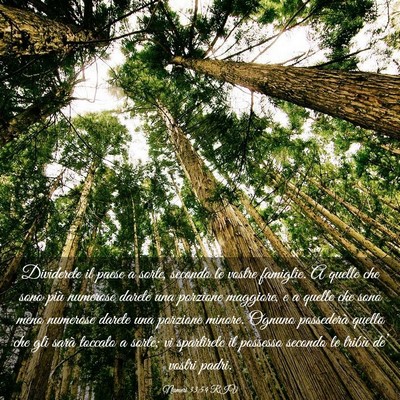 Picture 03 - Numeri 33:54 RIV - Dividerete il paese a sorte, secondo le vostre - Bible Verse Picture