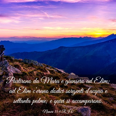 Picture 03 - Numeri 33:9 RIV - Partirono da Mara e giunsero ad Elim; ad Elim - Bible Verse Picture