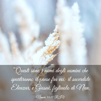 Picture 03 - Numeri 34:17 RIV - “Questi sono i nomi degli uomini che - Bible Verse Picture
