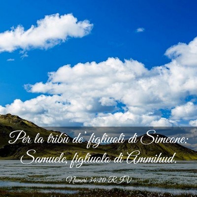Picture 03 - Numeri 34:20 RIV - Per la tribù de’ figliuoli di Simeone: - Bible Verse Picture