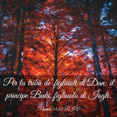 Picture 03 - Numeri 34:22 RIV - Per la tribù de’ figliuoli di Dan: il principe - Bible Verse Picture