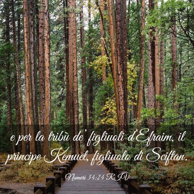 Picture 03 - Numeri 34:24 RIV - e per la tribù de’ figliuoli d’Efraim, il - Bible Verse Picture