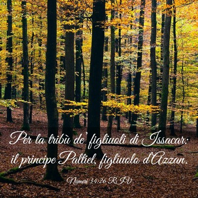 Picture 03 - Numeri 34:26 RIV - Per la tribù de’ figliuoli di Issacar: il - Bible Verse Picture