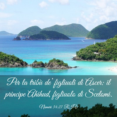 Picture 03 - Numeri 34:27 RIV - Per la tribù de’ figliuoli di Ascer: il - Bible Verse Picture