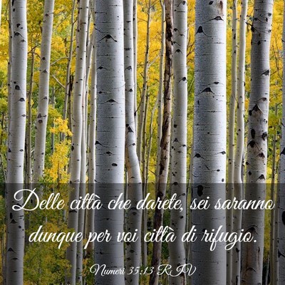 Picture 03 - Numeri 35:13 RIV - Delle città che darete, sei saranno dunque per - Bible Verse Picture