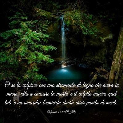 Picture 03 - Numeri 35:18 RIV - O se lo colpisce con uno stromento di legno che - Bible Verse Picture