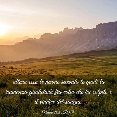 Picture 03 - Numeri 35:24 RIV - allora ecco le norme secondo le quali la raunanza - Bible Verse Picture