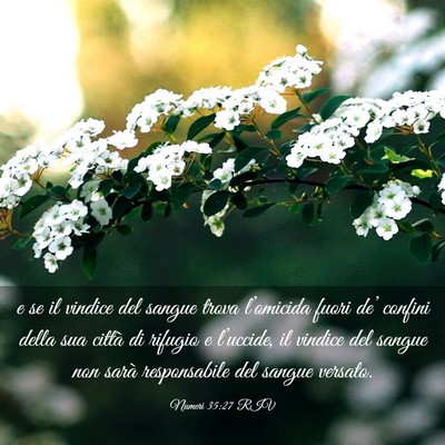 Picture 03 - Numeri 35:27 RIV - e se il vindice del sangue trova l’omicida - Bible Verse Picture