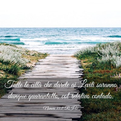 Picture 03 - Numeri 35:7 RIV - Tutte le città che darete ai Leviti saranno - Bible Verse Picture