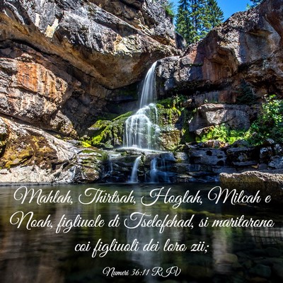 Picture 03 - Numeri 36:11 RIV - Mahlah, Thirtsah, Hoglah, Milcah e Noah, - Bible Verse Picture
