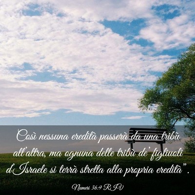 Picture 03 - Numeri 36:9 RIV - Così nessuna eredità passerà da una tribù - Bible Verse Picture