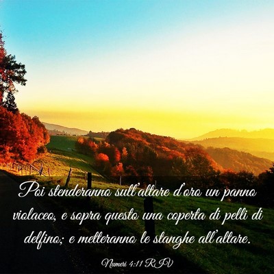 Picture 03 - Numeri 4:11 RIV - Poi stenderanno sull’altare d’oro un panno - Bible Verse Picture