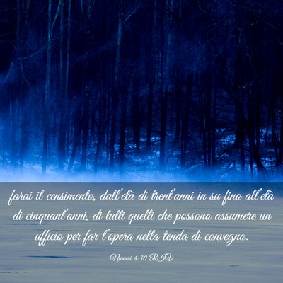 Picture 03 - Numeri 4:30 RIV - farai il censimento, dall’età di trent’anni - Bible Verse Picture
