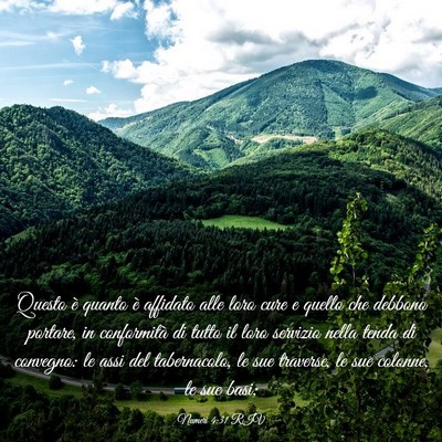 Picture 03 - Numeri 4:31 RIV - Questo è quanto è affidato alle loro cure e - Bible Verse Picture