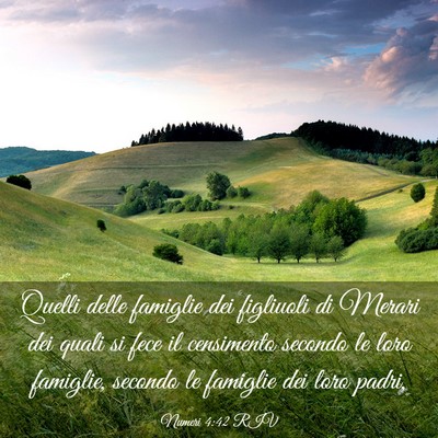 Picture 03 - Numeri 4:42 RIV - Quelli delle famiglie dei figliuoli di Merari dei - Bible Verse Picture