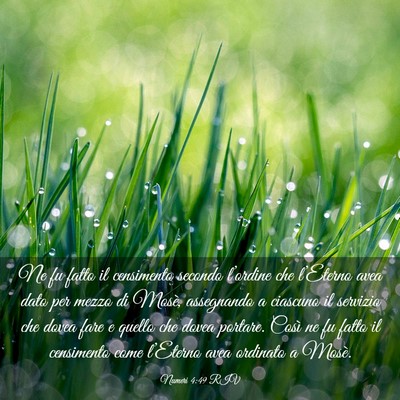 Picture 03 - Numeri 4:49 RIV - Ne fu fatto il censimento secondo l’ordine che - Bible Verse Picture