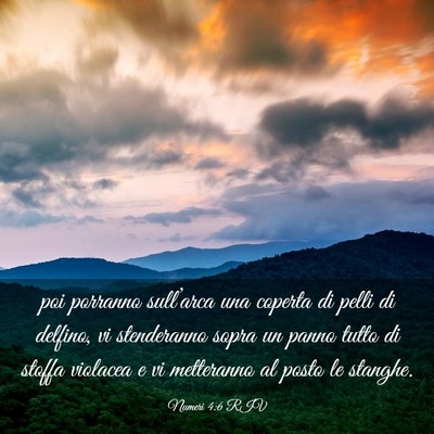 Picture 03 - Numeri 4:6 RIV - poi porranno sull’arca una coperta di pelli di - Bible Verse Picture
